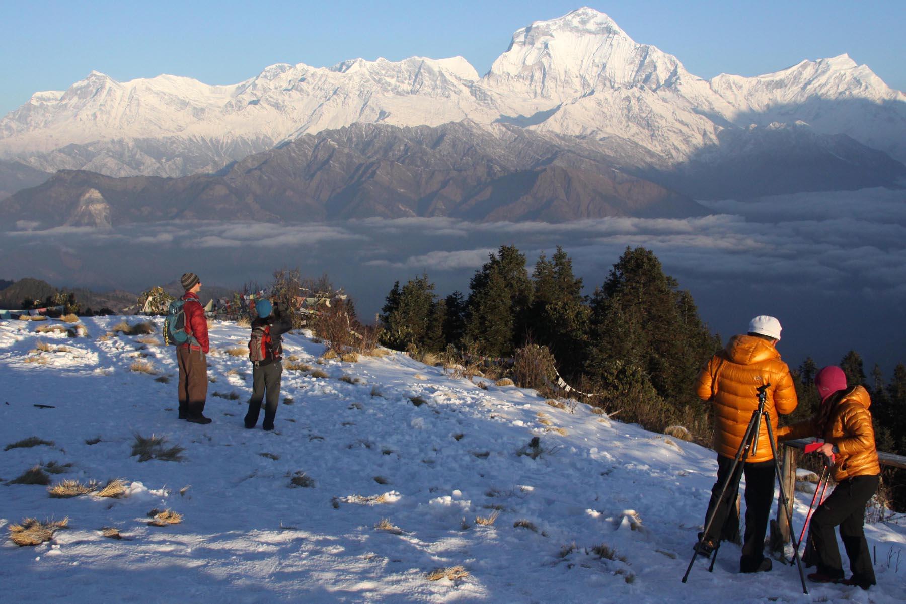 Nepal Unveiled: Peaks, Prayers, and Pure Serenity